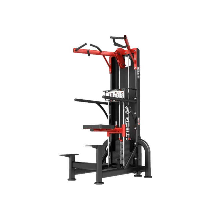 OnHim Chin-Up, Dip Assist (Thomson)